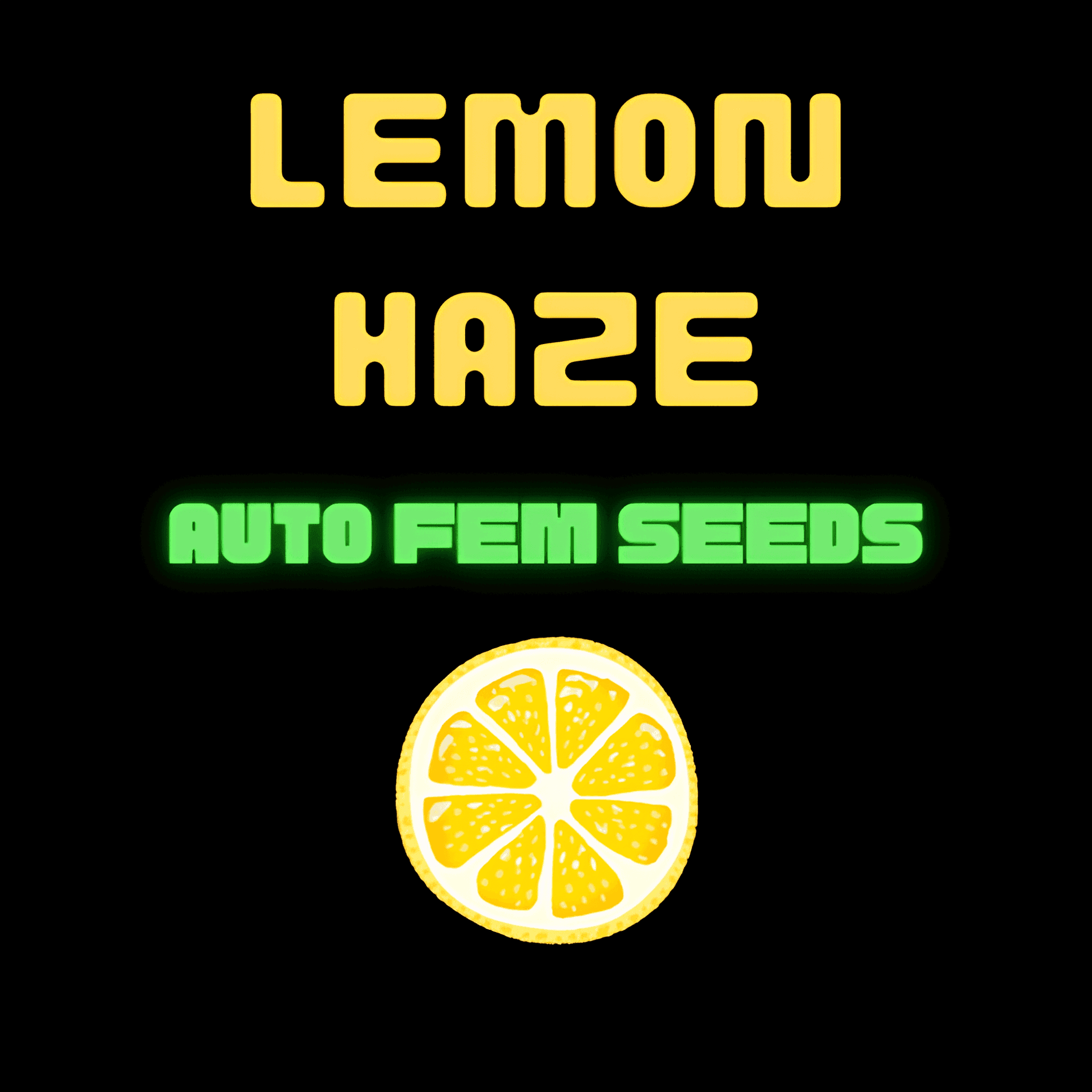 Lemon Haze 420 Cannabis Seeds - US Based, Germination Guaranteed! Exotic Strains at Low Prices!